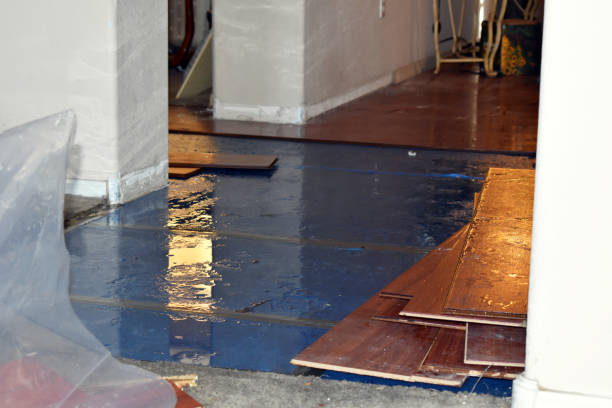 Professional Water Extraction technician working in Albion, MI